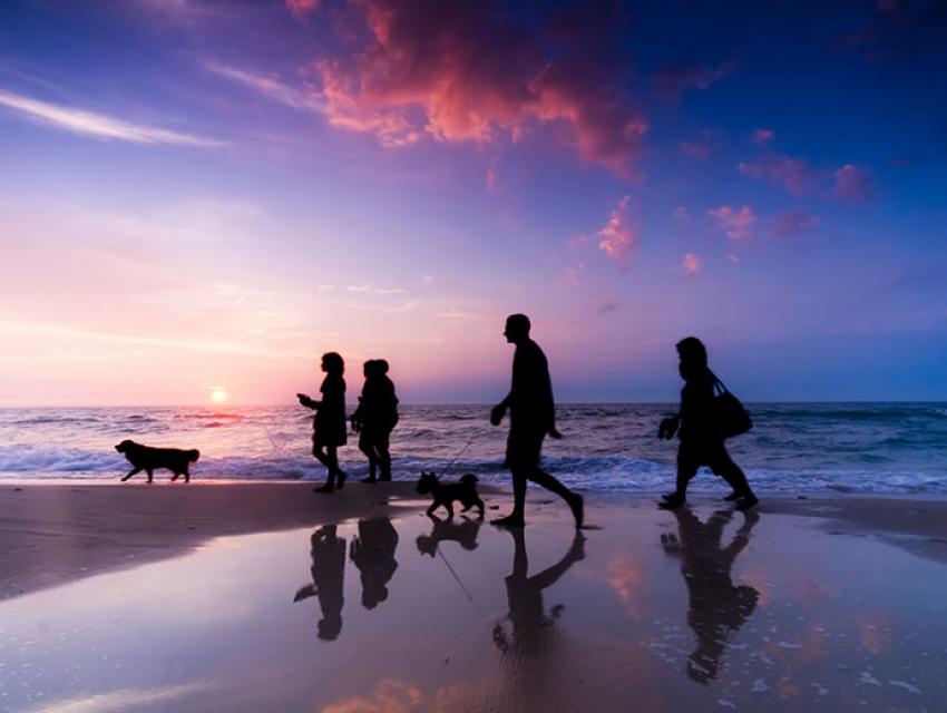 Estate Planning, Wills, Trusts & Probate Estate Planning, Wills, Trusts & Probate
