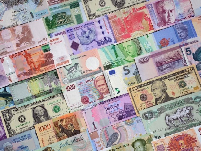 Foreign Investor Representation Foreign Investor Representation